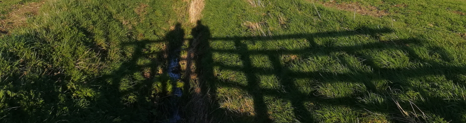 Footbridgs looking towards Willows Farm near Metfield